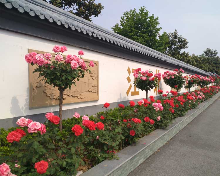 环境展示